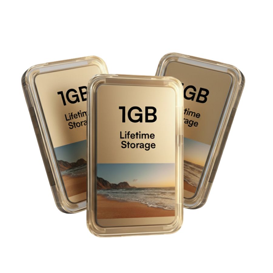 Zusätzlicher Lifetime Storage