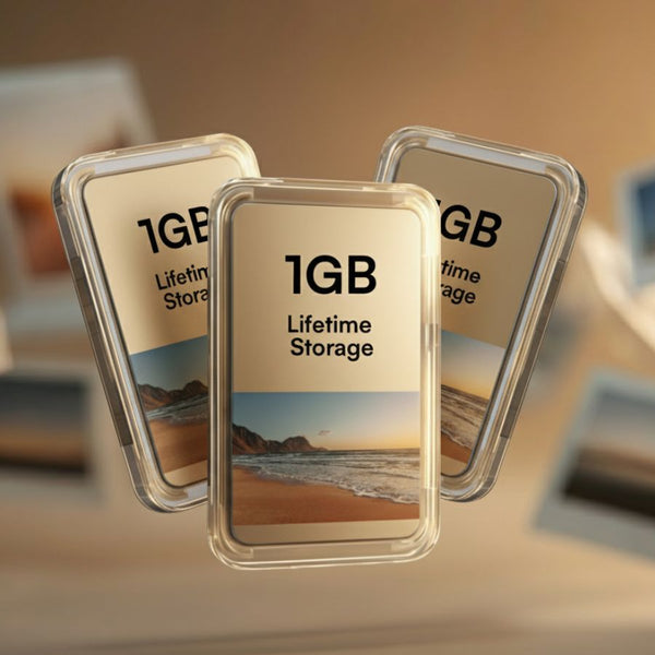 3x Additional Lifetime Storage